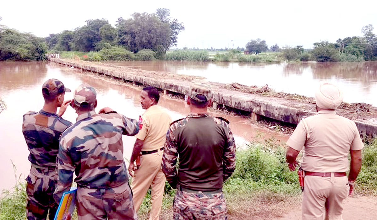 Alert issued for 78 villages of Patiala, paddy fields of 65 villages submerged.